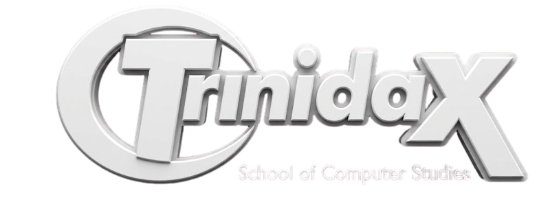 Trinidax Logo (Dark version)
